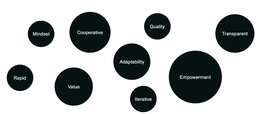 Some commonly used terms to describe Agile